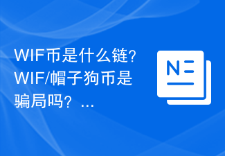 WIF币是什么链？WIF/帽子狗币是骗局吗？