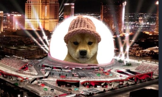 wif是什么币种？wif币上架了哪些交易所？wif币交易平台推荐 - 天气宝
