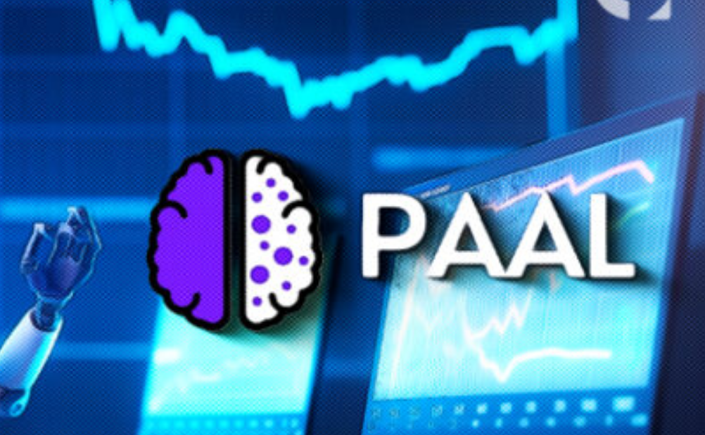 PAAL币怎么样?值得持有吗?