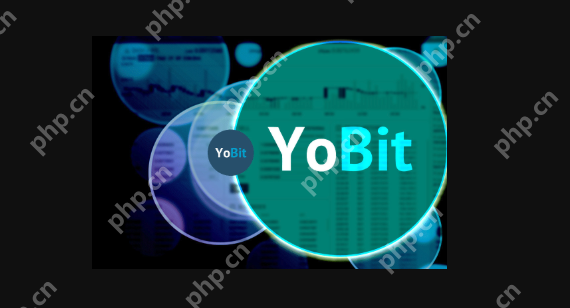 YoBit交易所评价：公司背景、安全性、平台特色、优缺点分析 - 天气宝