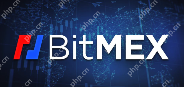BitMEX交易平台官网入口网址 - 天气宝