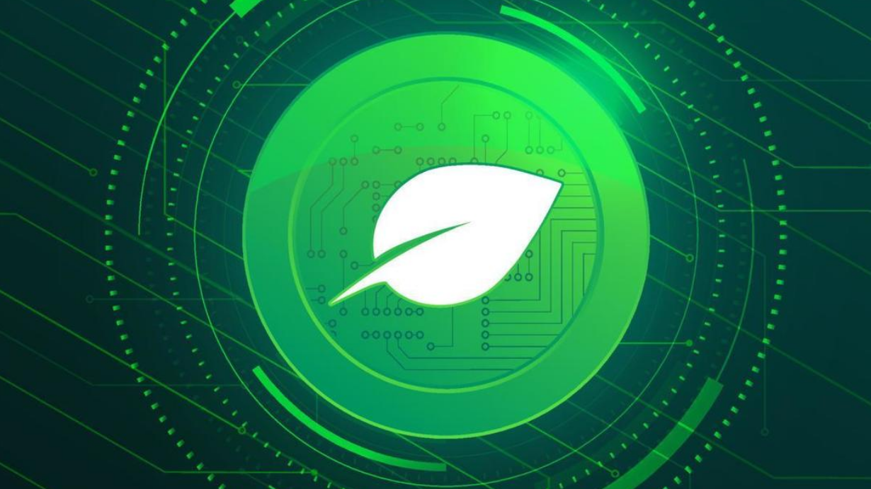 一文全面介绍奇亚币项目