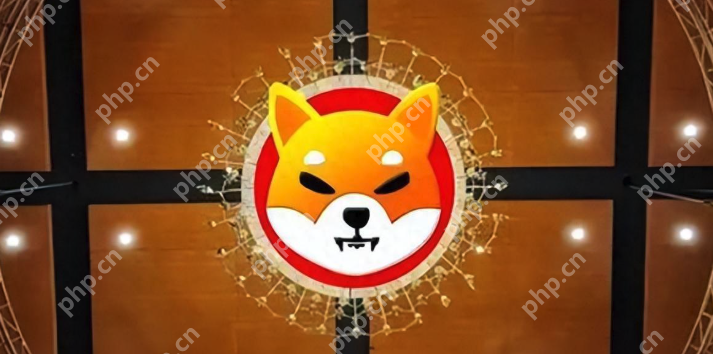 2024年柴犬币十大交易所推荐 - 天气宝