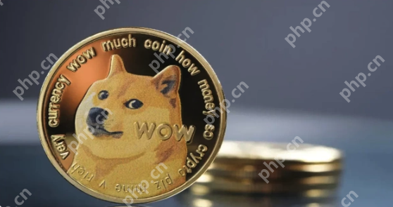 柴犬币值得长期持有吗？ - 天气宝