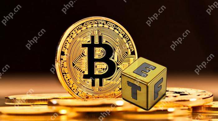 比特币ETF的投资组合如何配置?