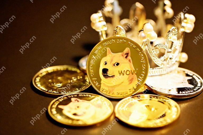 狗狗币未来走势如何?2024-2030年狗狗币(DOGE)价格走势预测 - 天气宝