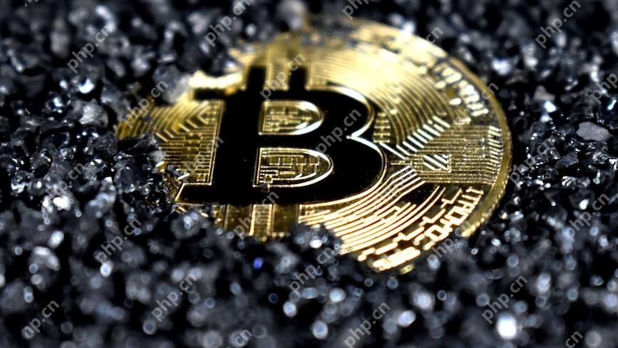 为什么比特币在涨，而其他山寨币下跌？ - 天气宝
