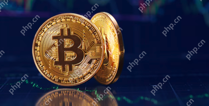 虚拟币app是啥 2024虚拟币app最新排名 - 天气宝