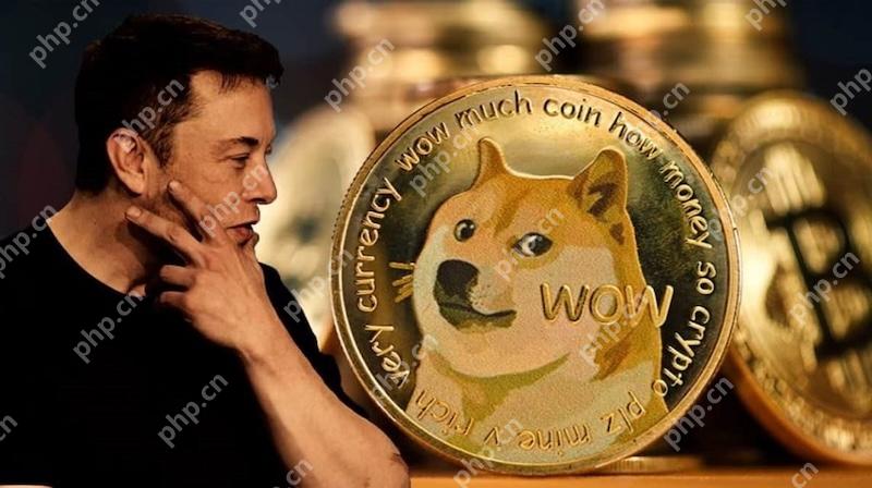 谁将成为PEPE之后达到百亿美元市值的MEME代币？ - 天气宝
