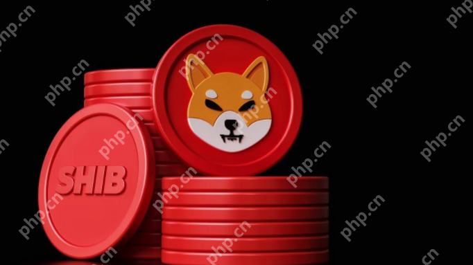 柴犬币2025年预测 柴犬币2025年价格预测 - 天气宝
