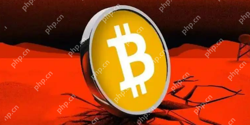 币圈行情官网软件怎么找？ - 天气宝