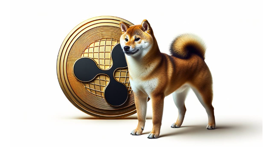 虚拟币购买app安全靠谱的top10推荐