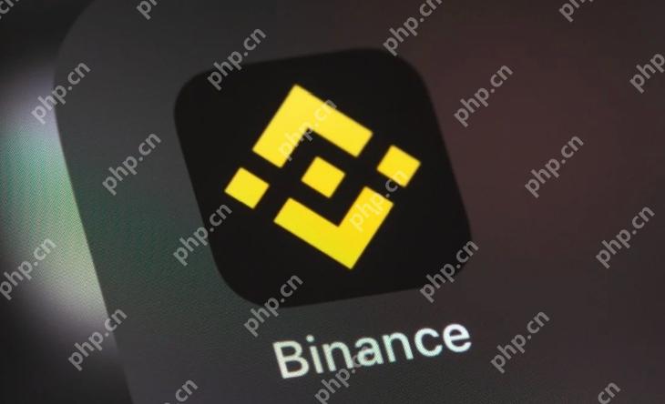 Binance币安交易所最新app下载教程(2025) - 天气宝
