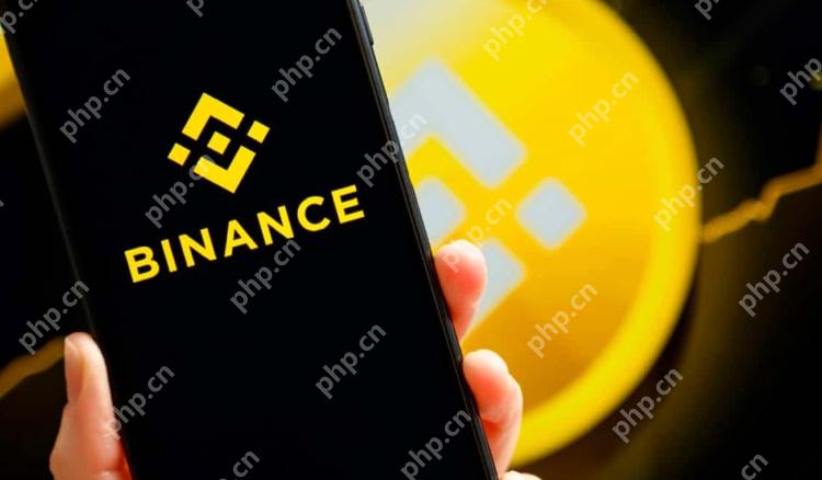 Binance币安交易所最新app下载教程(2025) - 天气宝