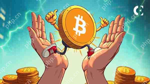 比特币继续攀升，在过去一周中增长了10％以上