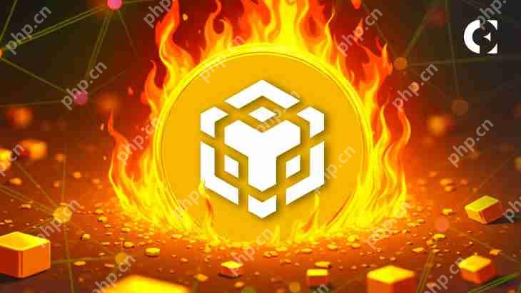 BNB连锁店完成了第31季度的季度燃烧活动，销毁了158万BNB令牌