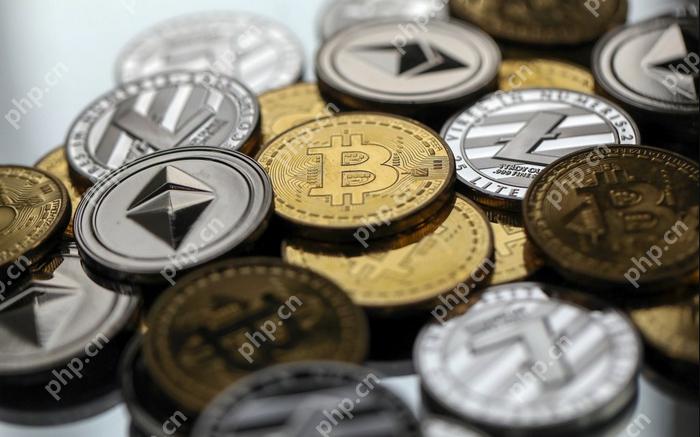 币圈三大虚拟货币交易平台 2025年十大虚拟币交易APP专业榜单