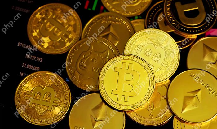 盘点全球虚拟货币三大交易平台(2025年加密货币三大交易所) - 天气宝