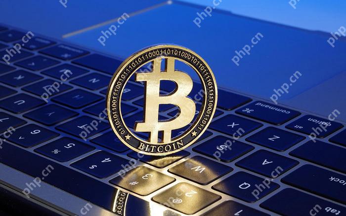 前10名的正规比特币交易app排名 十大比特币交易所权威榜单最新 - 天气宝