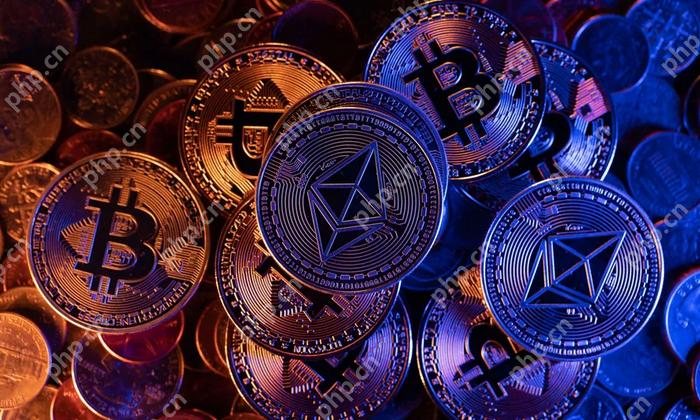 十大虚拟币交易app排行榜最新 全球加密货币交易所2025年前十名 - 天气宝