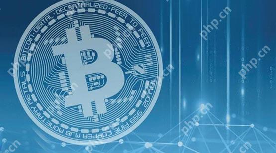 2025最有潜力的虚拟货币 - 天气宝
