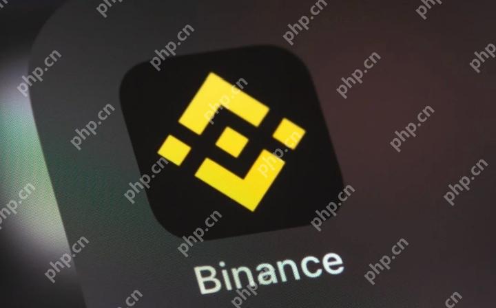 如何在 Android 设备上安装币安应用程序(2025 更新) - 天气宝