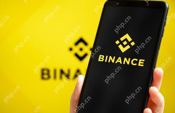币安交易所官网中文版APP正版入口 排名前十的交易所app - 天气宝