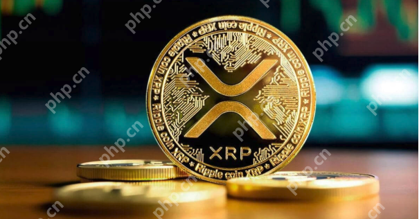 2025可交易的虚拟币有哪些？2025最新全球主流虚拟币种类深度解析 - 天气宝