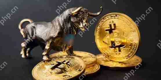 一文了解比特币减半满周年、涨逾三成!机构进场加速牛市