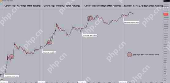 一文了解比特币减半满周年、涨逾三成!机构进场加速牛市