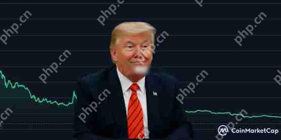 Meme币TRUMP首次赋能?传川普将为代币持有者办晚宴