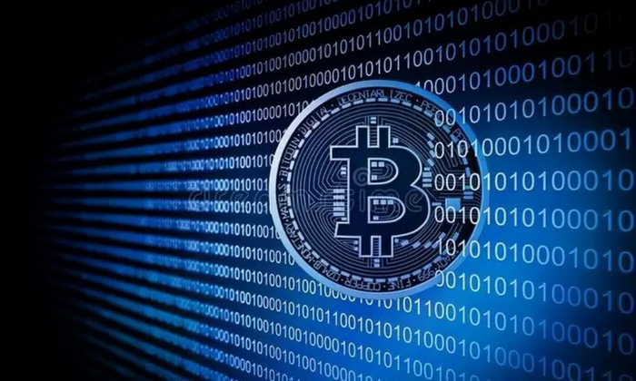 如何判断一个山寨币是否是骗局（scam）？ - 天气宝