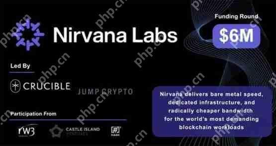 喜讯nirvana获600万美元种子轮融资！旨在解决web3高度中心化的云端运算问题