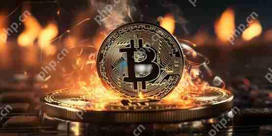 cryptoquant分析：比特币获利比重突破80%！距离情绪高点不远