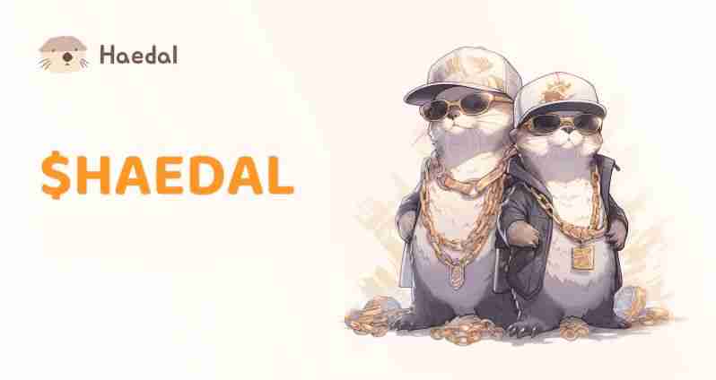 Haedal币空投震撼来袭！什么是 Haedal Protocol (HAEDAL)？一文介绍 - 天气宝