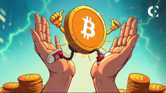炒币软件排行榜2025 新手炒币最好用的软件前十名汇总 - 天气宝
