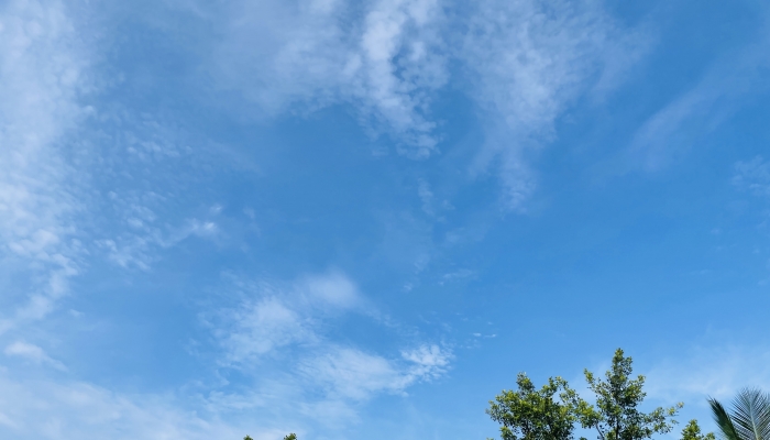 山东省高温持续局地达39℃ 鲁南鲁中雷雨频发需防范