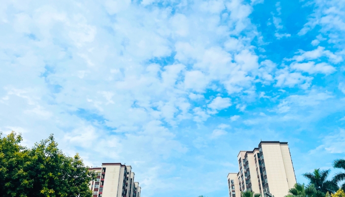山东省高温来袭 鲁西北等地最高温达39℃