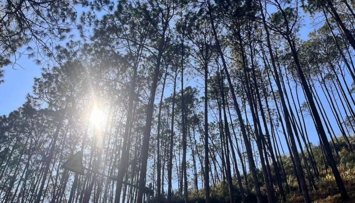 今起三天华北等地高温晴晒天气持续东北多地或现今年首个高温