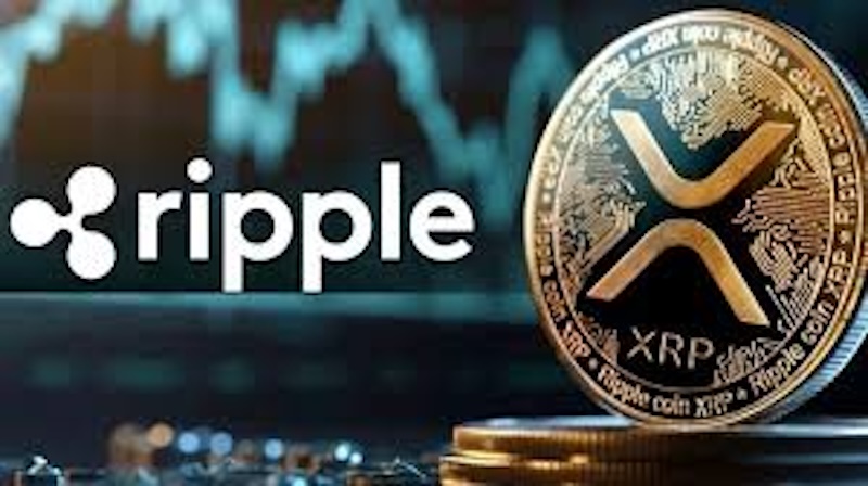 紧急预警！【xrp/usd】鲸鱼账户异动 72小时内或现极端行情 - 天气宝