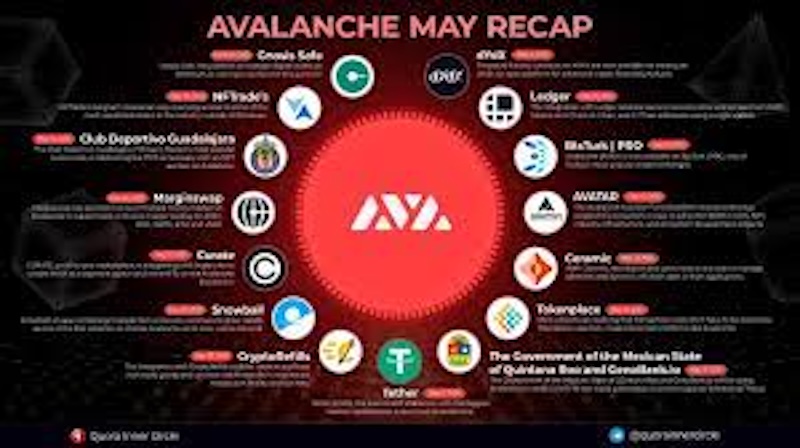 老韭菜血泪总结！【avax/bnb】波段操作5大致命误区 - 天气宝