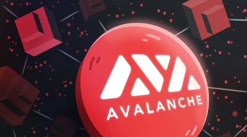 老韭菜血泪总结！【AVAX/BNB】波段操作5大致命误区 - 天气宝