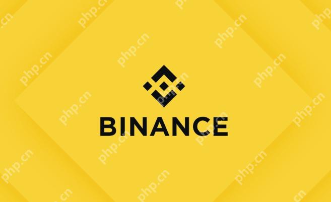 币安交易所官方下载链接 币安最新版app安装教程 - 天气宝