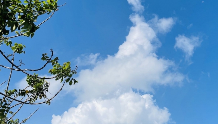 北京今日晴热持续最高35℃ 周末将迎明显降雨