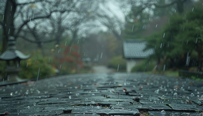 南方降雨减弱南压 台风“杨柳”将影响东南沿海