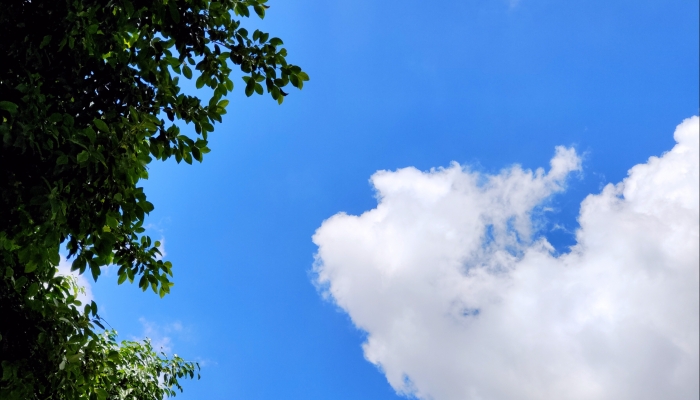 广东未来三天晴热回归伴雷雨 局部地区可达37℃