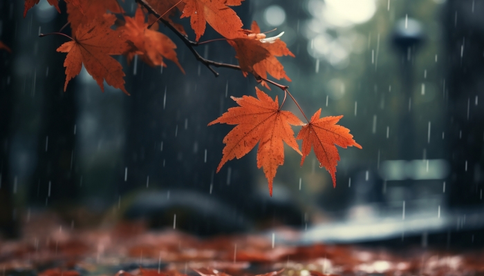 北京今明天有降雨过程 气温下降明显