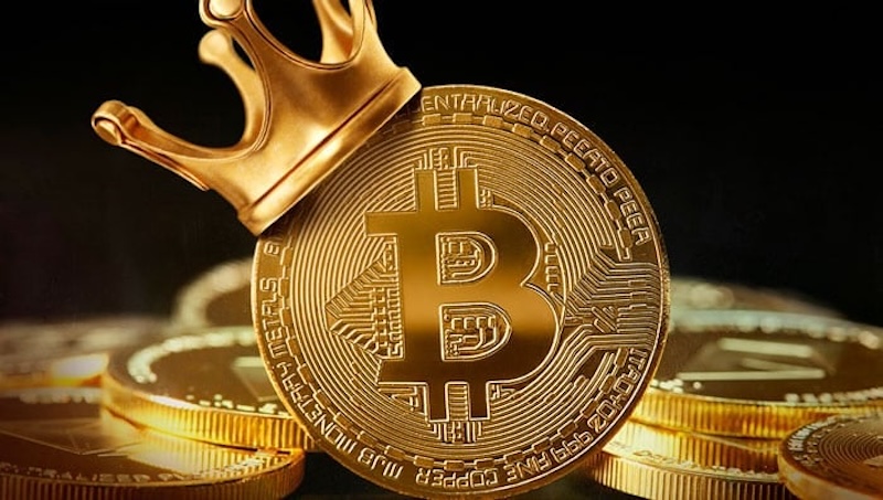 企业成为比特币新势力，2025年持有量大增21倍