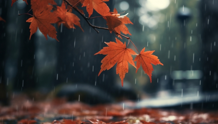 华西秋雨持续发酵 川陕豫鲁多地需防暴雨