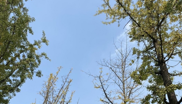 北京未来三天晴好温差大 初秋凉意渐浓需添衣